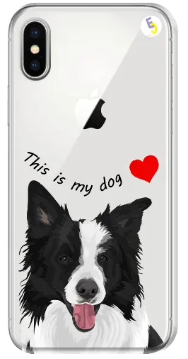 [Oka-1-1-1] CAPINHA BORDER COLLIE
